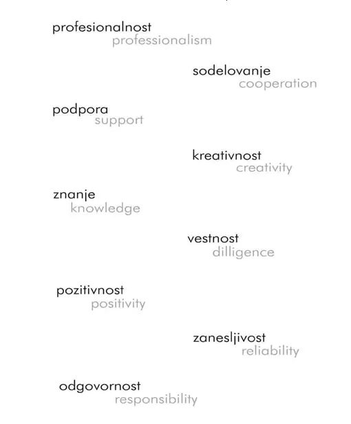 Vrednote: profesionalnost, sodelovanje, podpora, kreativnost, znanje, vestnost, pozitivnost, zanesljivost, odgovornost